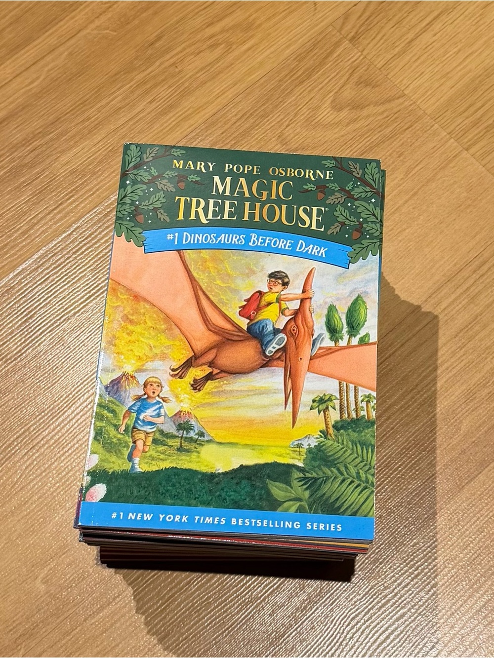 Magic Tree House Books #1-28